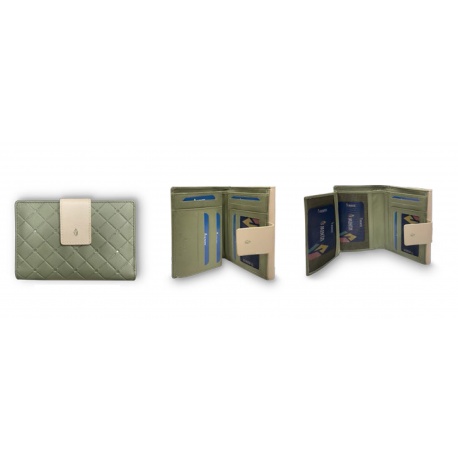 Cartera Menta Constantina
