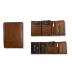 Cartera Nature Kronos